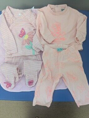 Koala Baby Pink Floral and Butterfly Girls Outfit And Disney Baby Minnie Outfit